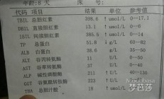 总胆红素偏高怎么办？总胆红素高吃什么好？