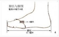 【225是多少码】225是多少码 225的鞋子有多大 男鞋225是多少码