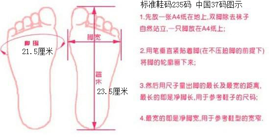 235码尺码示意图